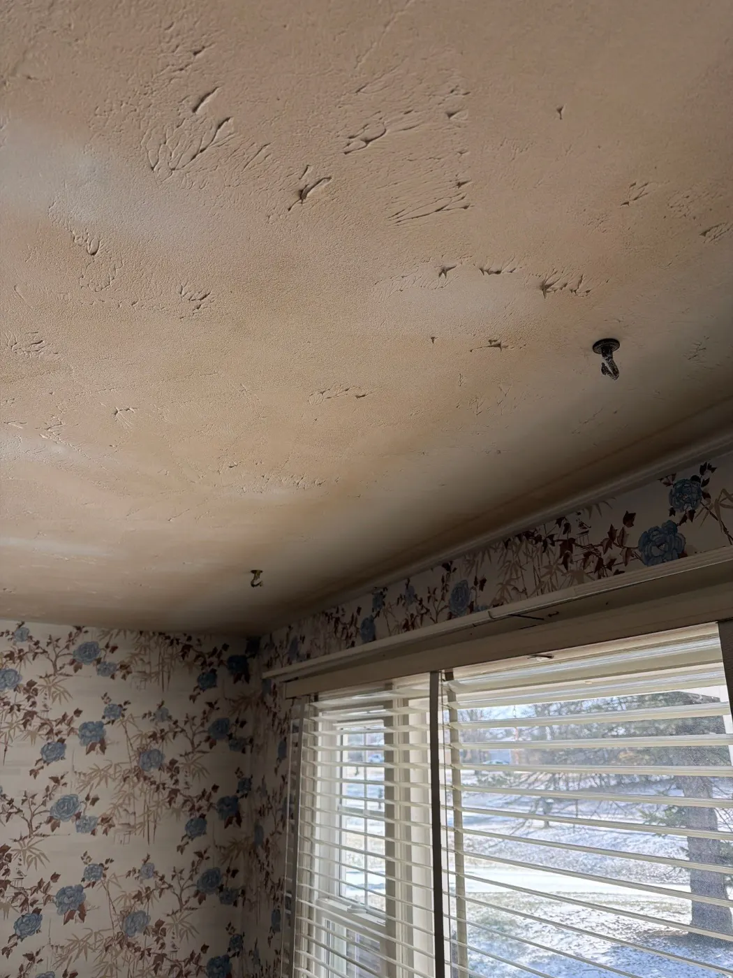 Thermal imaging during water damage assessment in Fortville residence